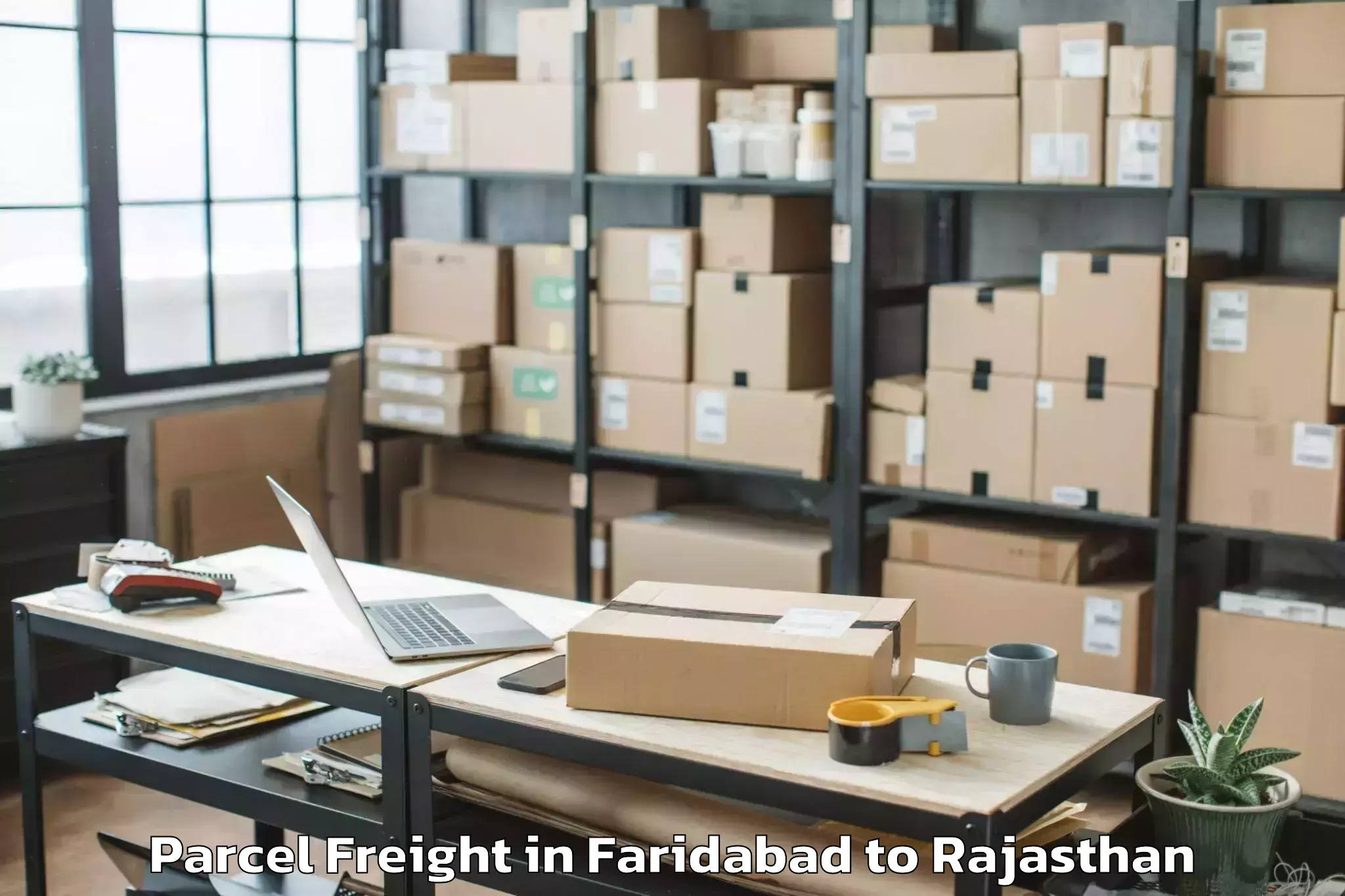 Get Faridabad to Mewar University Chittorgarh Parcel Freight